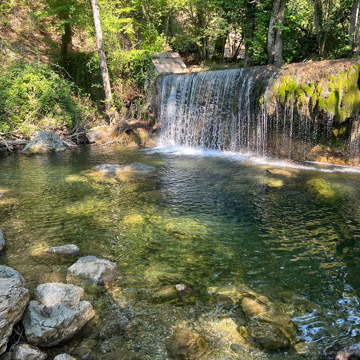 Bosco Magnano e Torrente Peschiera
