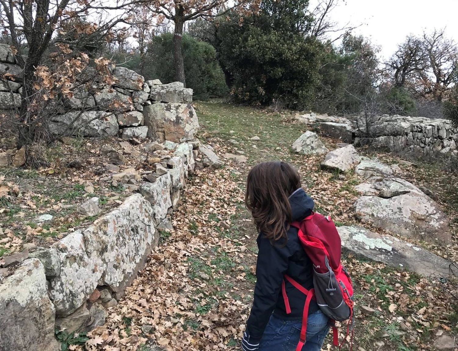 Monte Coppolo - Sentiero