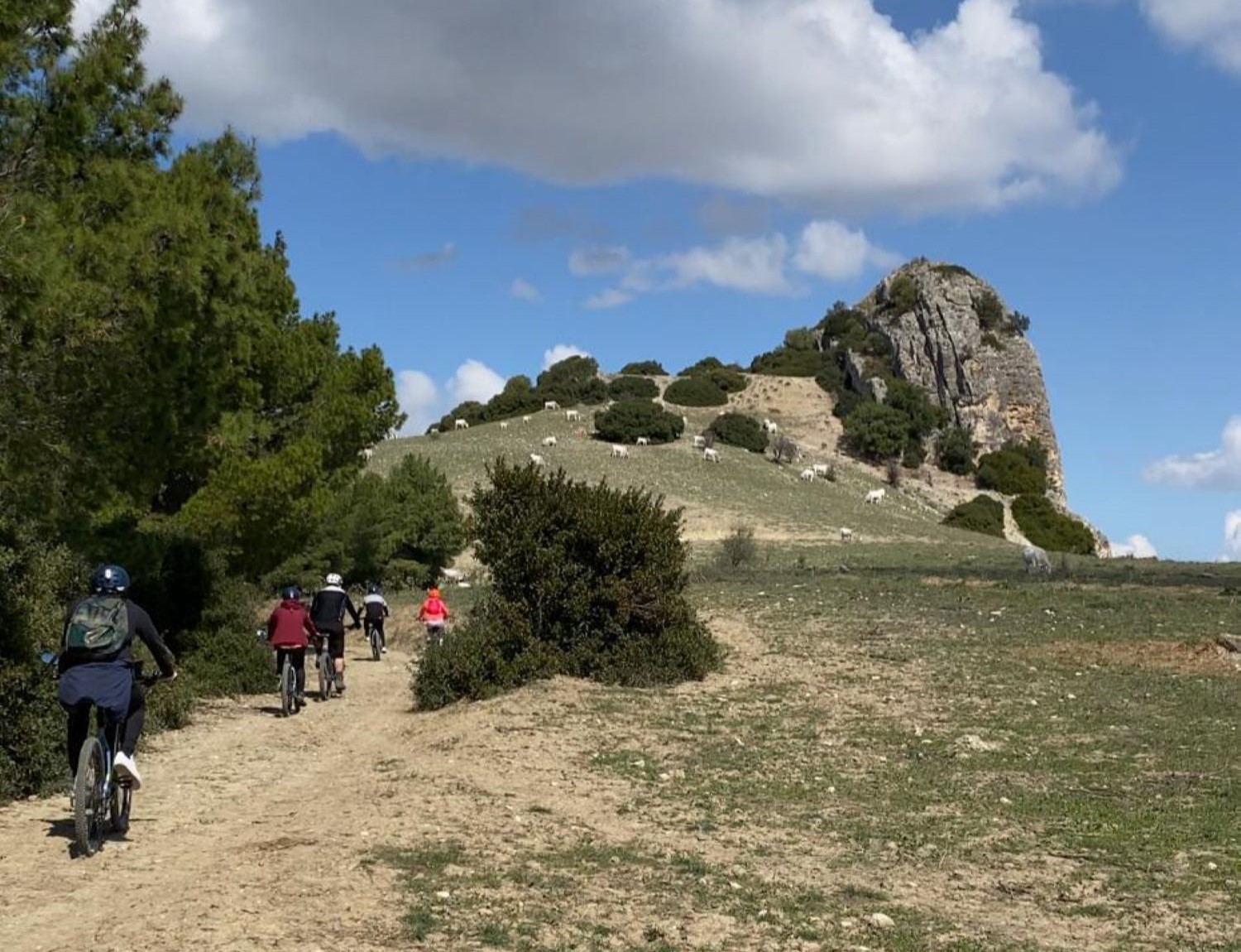 Montalbano Jonico - Panorama