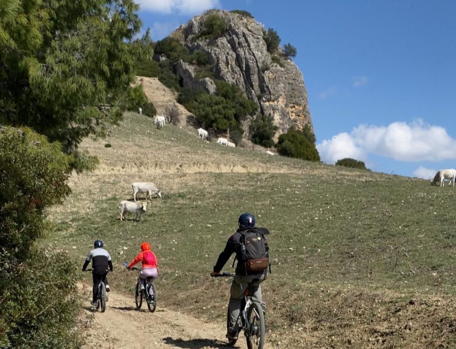 e-Bike Pollino - Easy