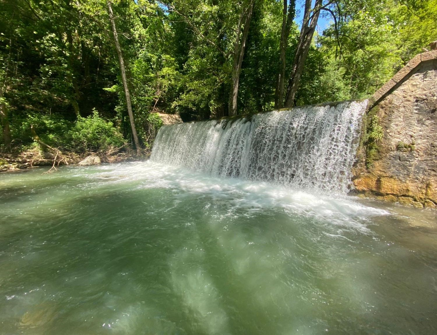 Bosco Magnano e Torrente Peschiera