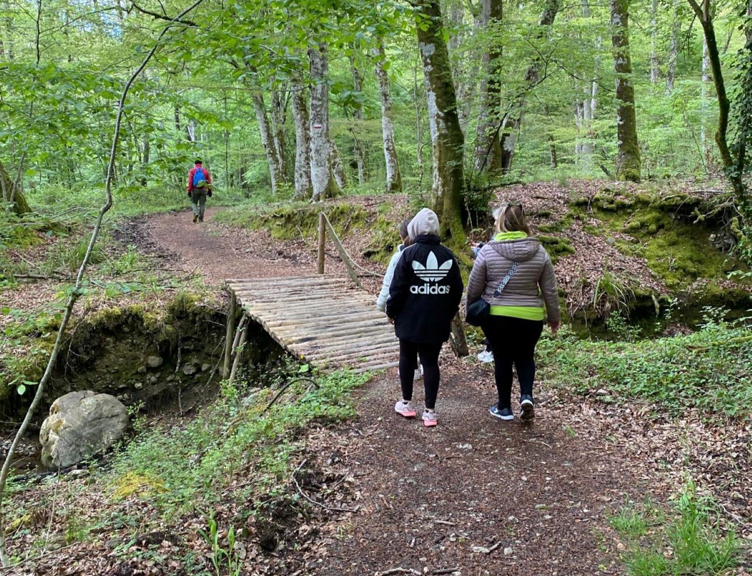 Bosco Magnano e Torrente Peschiera