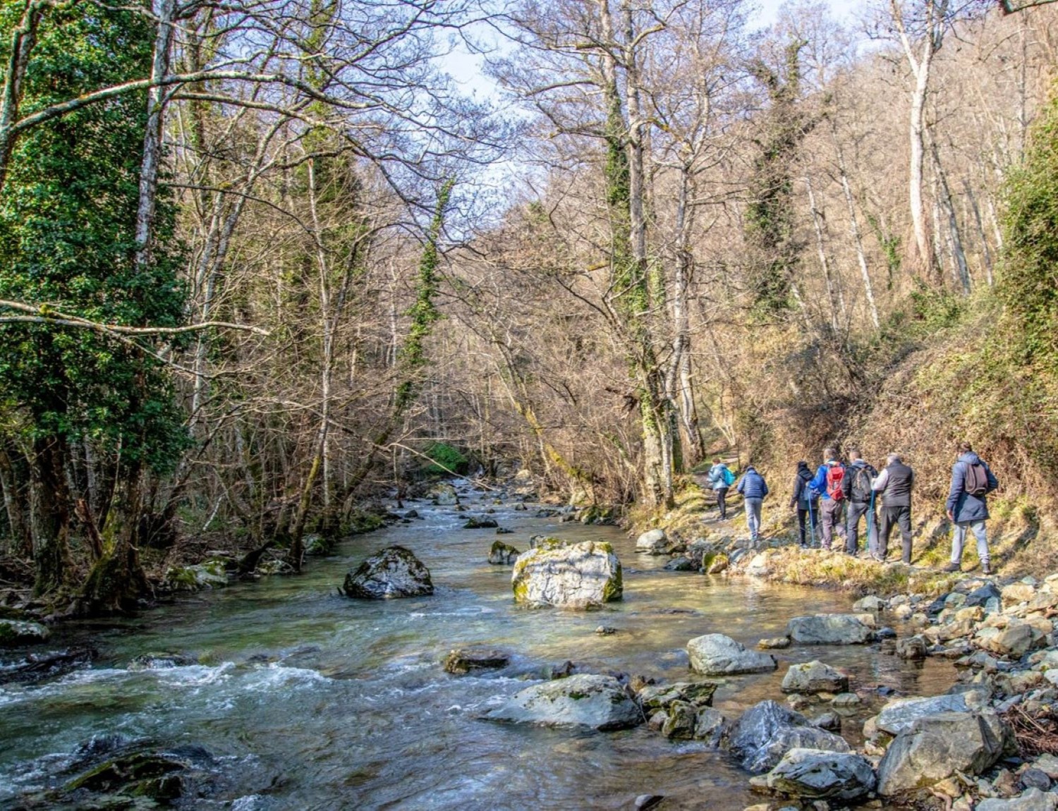 Bosco Magnano e Torrente Peschiera