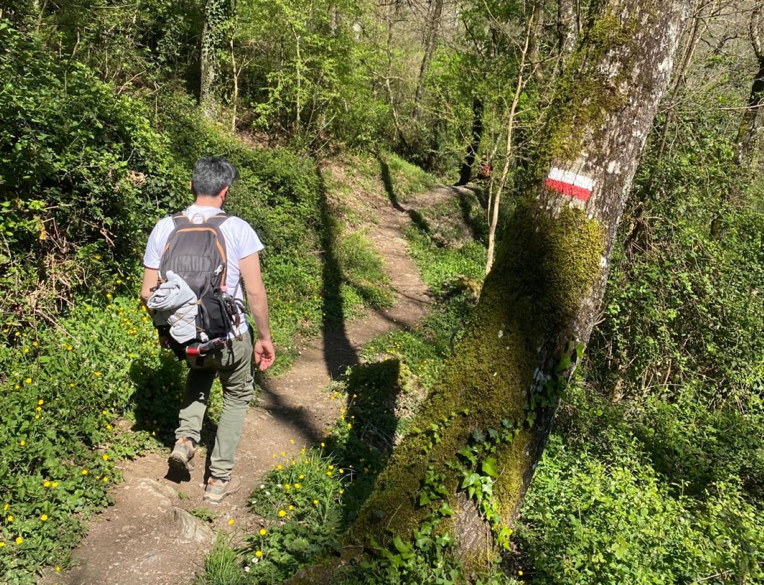Bosco Magnano e Torrente Peschiera