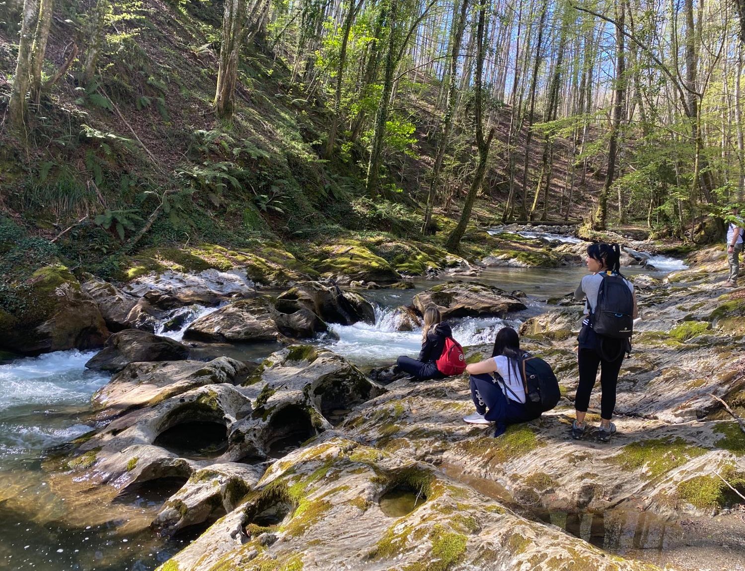 Bosco Magnano e Torrente Peschiera