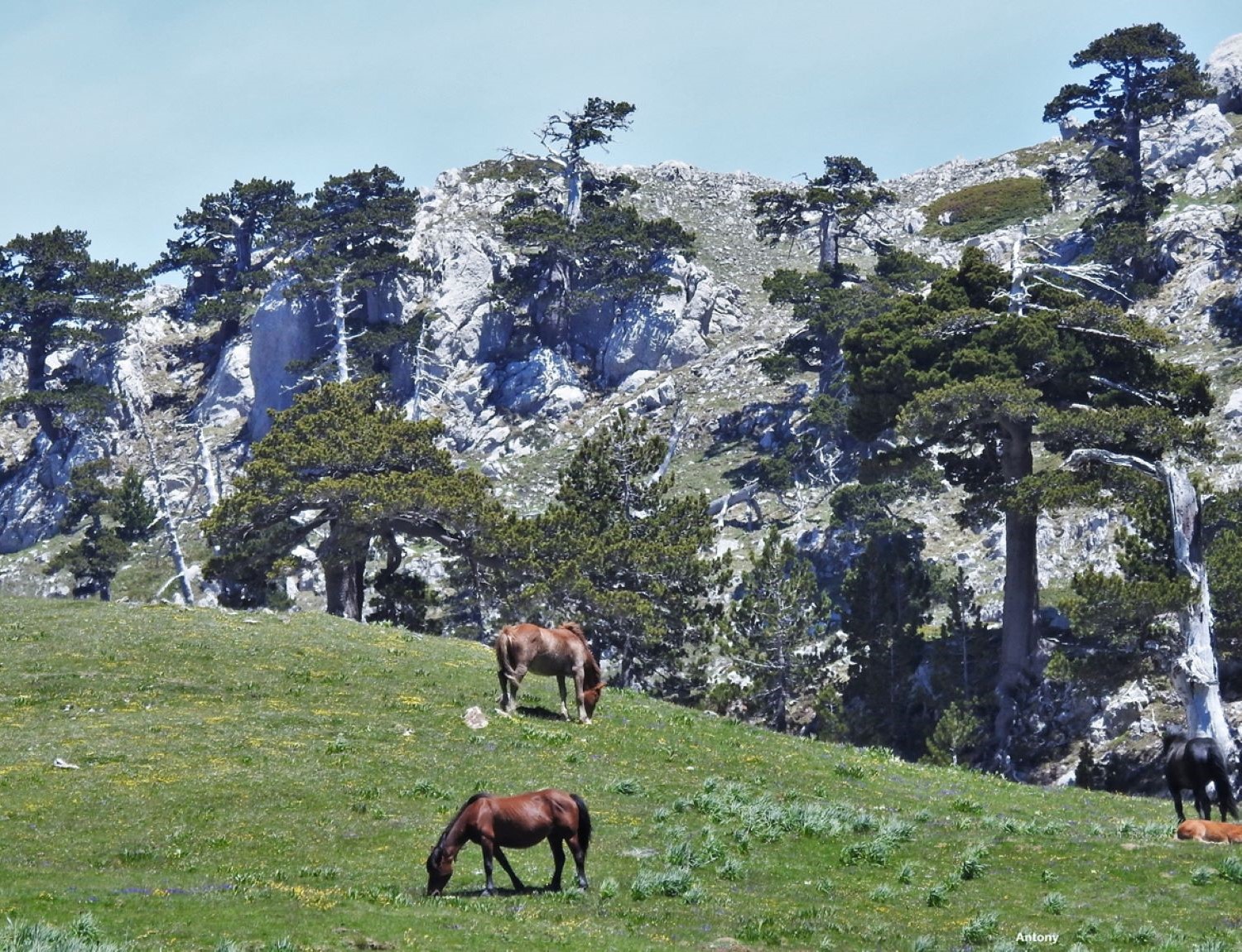 Serra Crispo (2054m) e il Giardino degli Dei