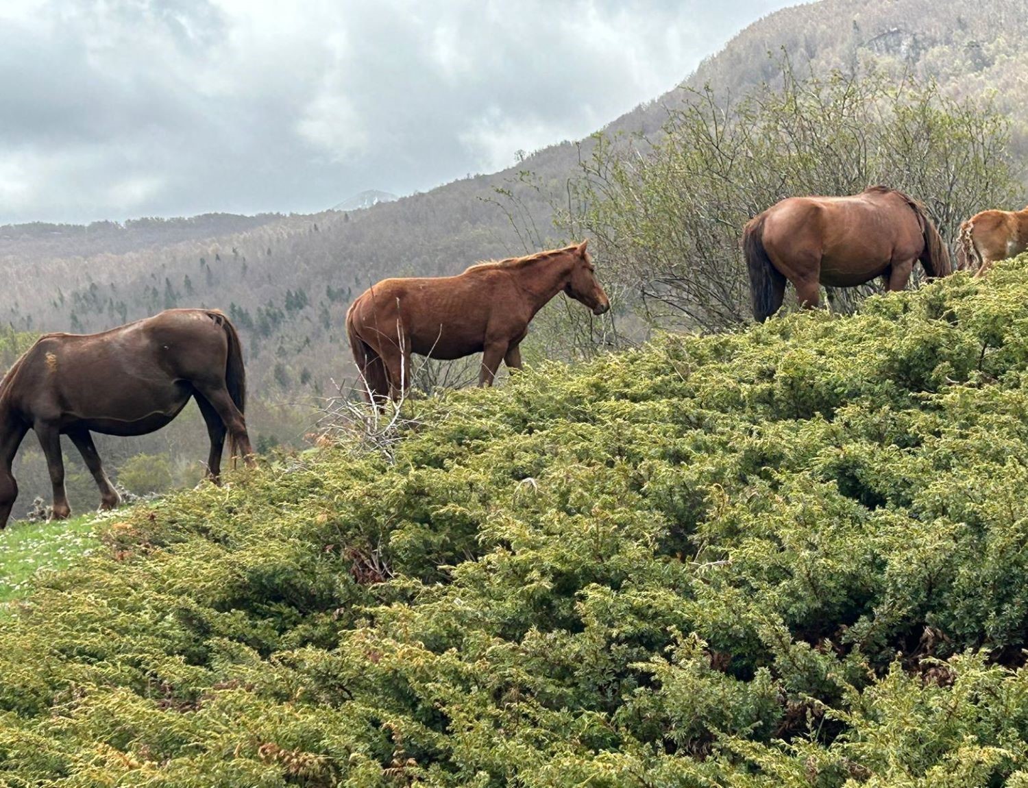 Serra Crispo (2054m) e il Giardino degli Dei