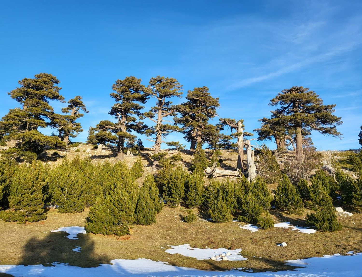 Serra Crispo (2054m) e il Giardino degli Dei