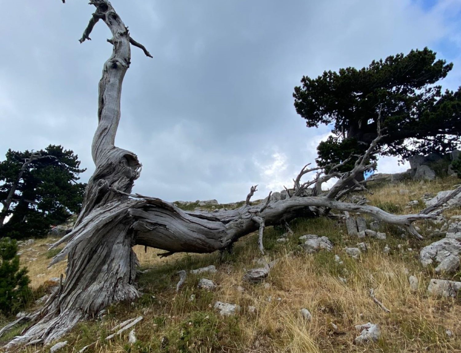 Serra Crispo (2054m) e il Giardino degli Dei