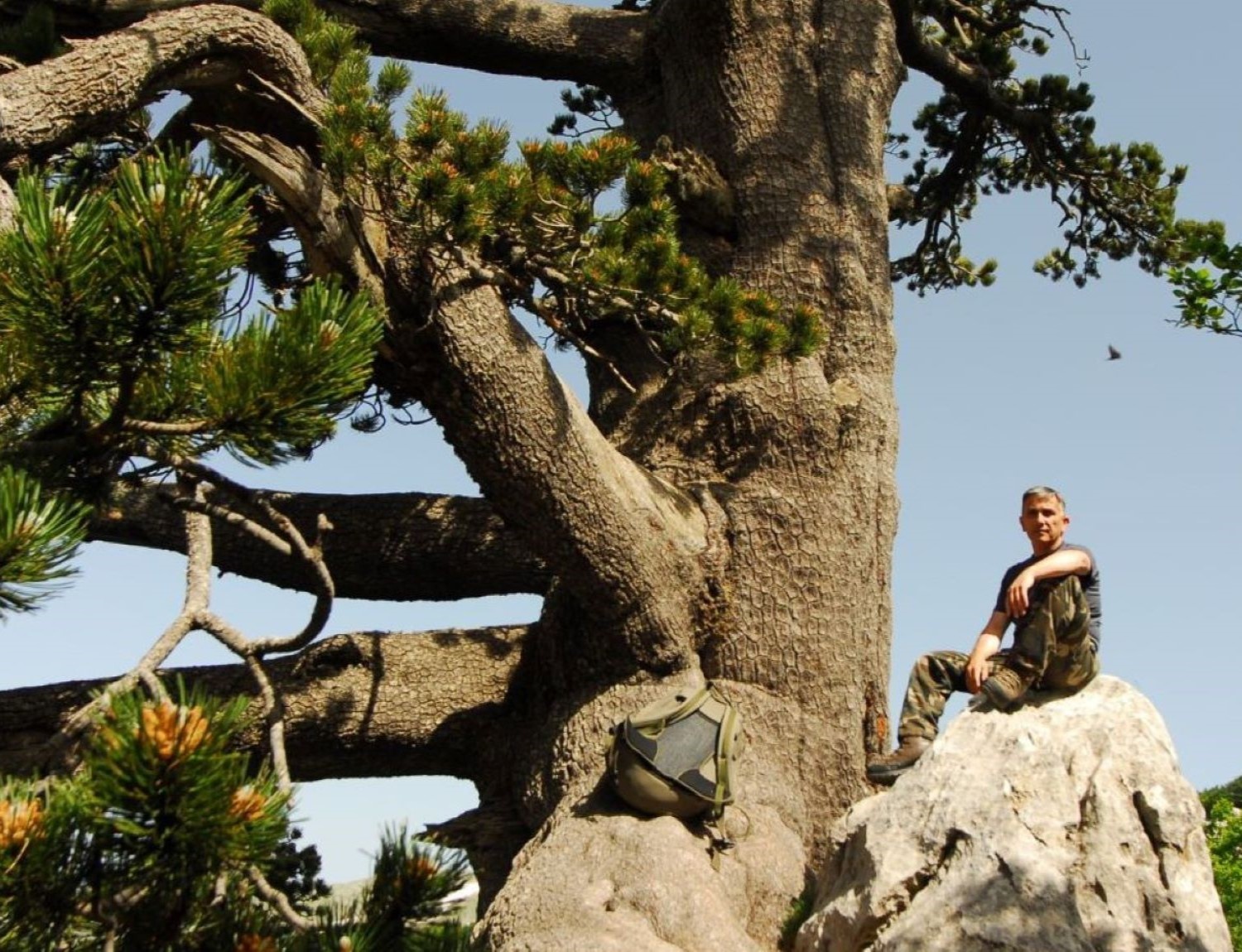 Monte Pollino (2248 m)
