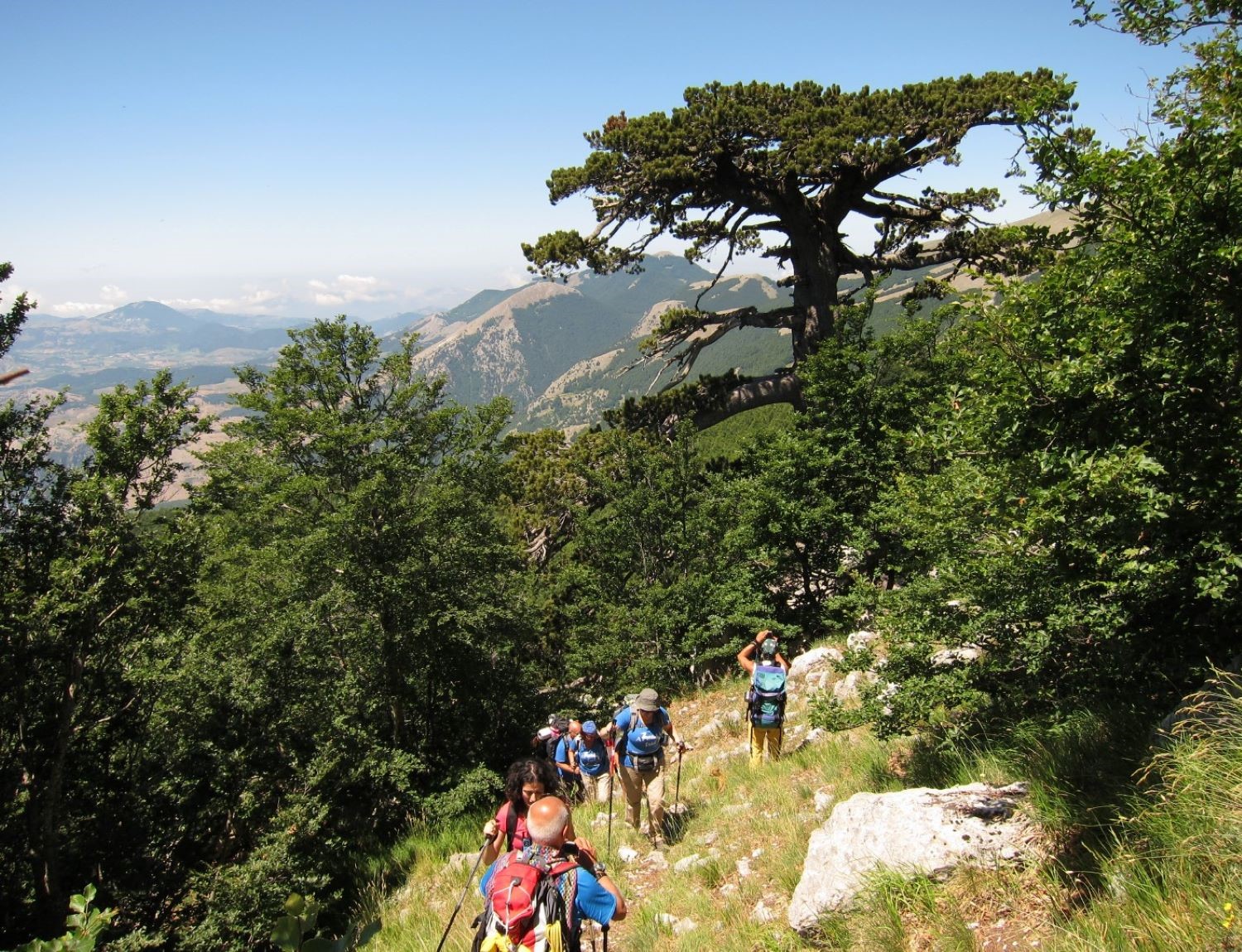 Monte Pollino (2248 m)