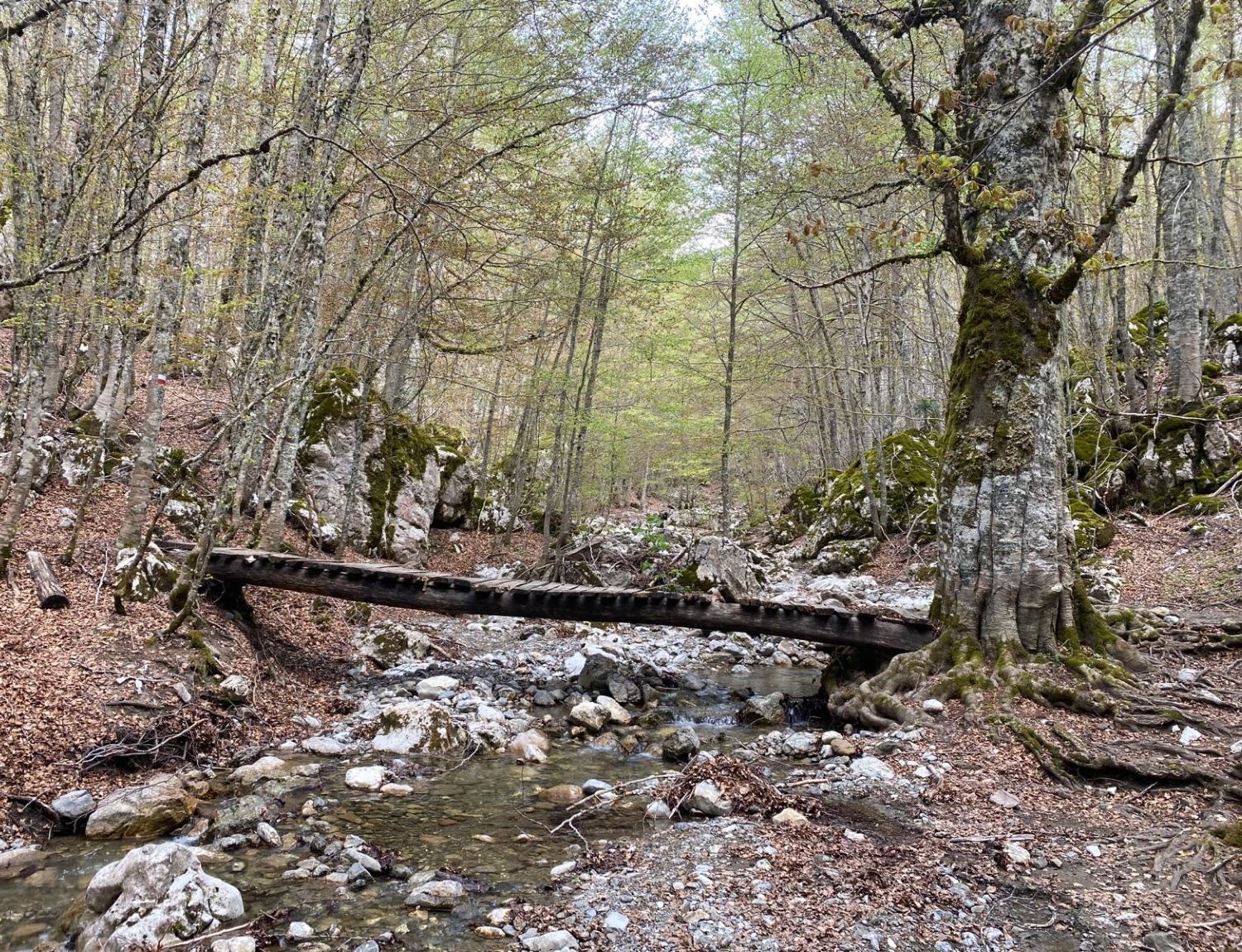 Anello di Madonna del Pollino