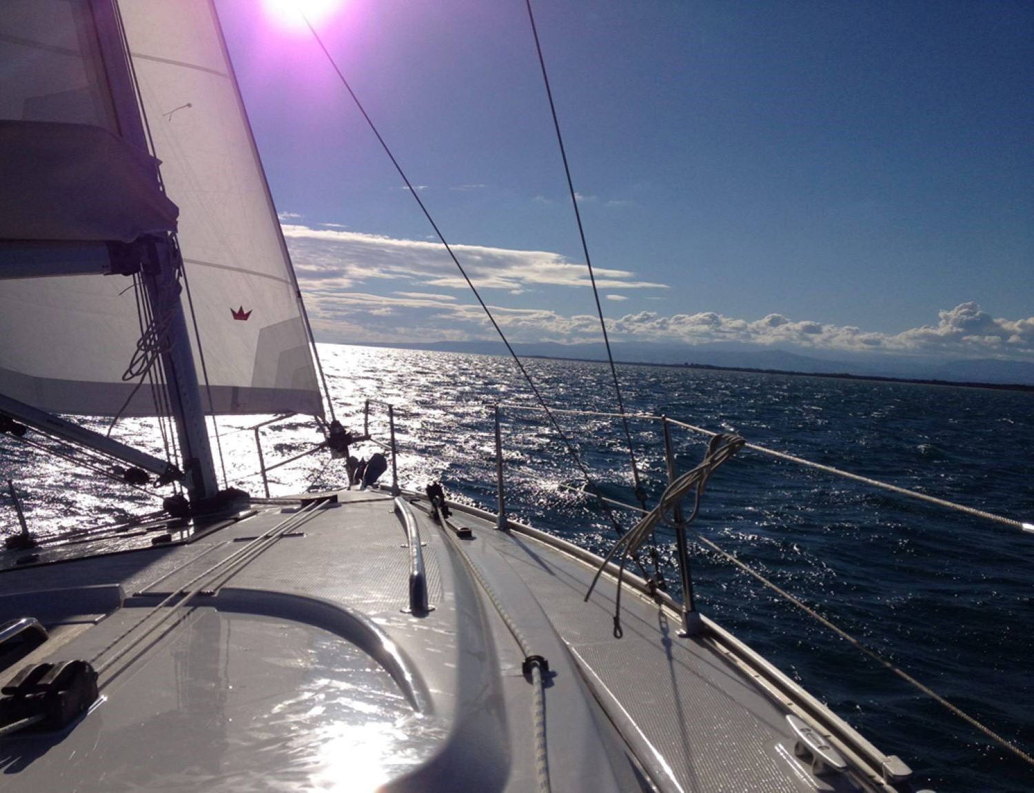 Barca a Vela - Rotta dei Delfini