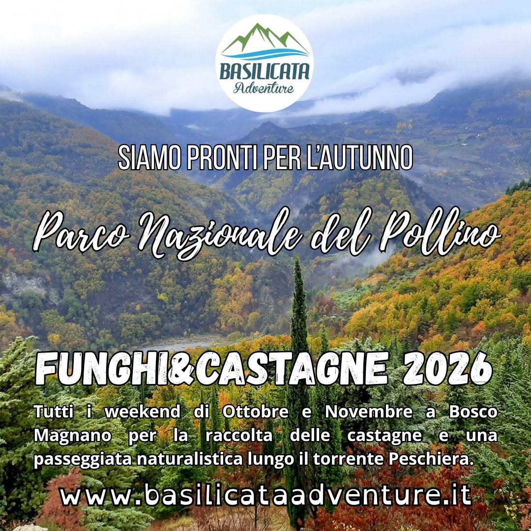 Weekend Funghi & Castagne 2026 - Parco Nazionale del Pollino