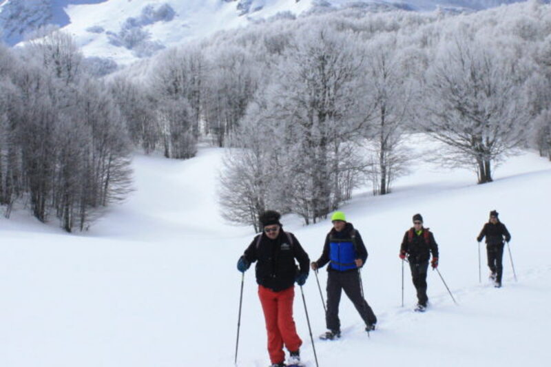 Escursione con le ciaspole nel Parco del Pollino
