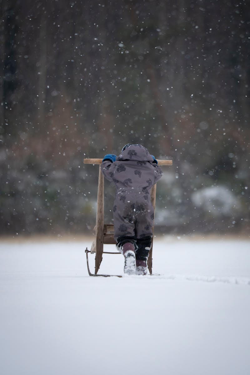 Bambino sullo slittino nella neve