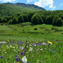 Trekking - Giardino degli Dei da Madonna del Pollino