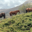 Trekking - Giardino degli Dei da Madonna del Pollino
