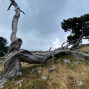 Trekking - Giardino degli Dei da Madonna del Pollino