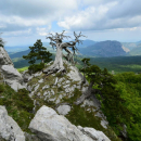 Trekking - Giardino degli Dei da Madonna del Pollino