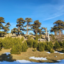 Trekking - Giardino degli Dei da Madonna del Pollino