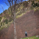 Trekking - Giardino degli Dei da Madonna del Pollino