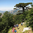 Trekking - Monte Pollino (2248 m)