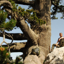Trekking - Monte Pollino (2248 m)