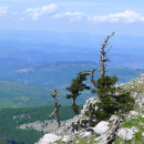 Trekking - Monte Pollino (2248 m)