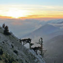Trekking - Monte Pollino (2248 m)