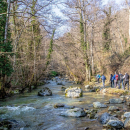 Trekking - Funghi&Castagne nel Parco Nazionale del Pollino