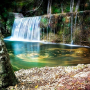 Trekking - Funghi&Castagne nel Parco Nazionale del Pollino