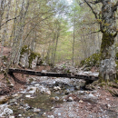 Trekking - Anello di Madonna del Pollino