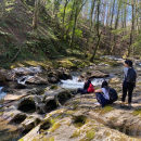 Trekking - Bosco Magnano e torrente Peschiera