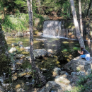 Trekking - Bosco Magnano e torrente Peschiera