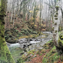 Trekking - Bosco Magnano e torrente Peschiera