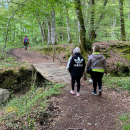 Trekking - Bosco Magnano e torrente Peschiera