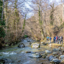 Trekking - Bosco Magnano e torrente Peschiera