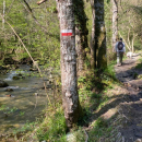 Trekking - Bosco Magnano e torrente Peschiera