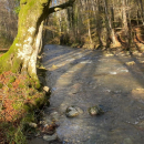 Trekking - Bosco Magnano e torrente Peschiera