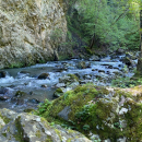 Trekking - Bosco Magnano e torrente Peschiera