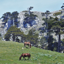 Trekking - Giardino degli Dei da Piano Giumenta